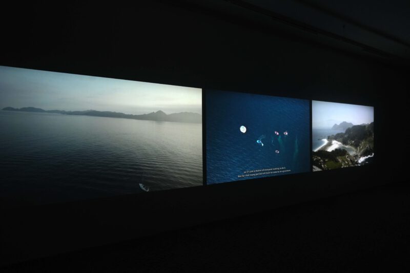 Exhibition view "Portrait of a Kelp Forest". Three Channel video installation